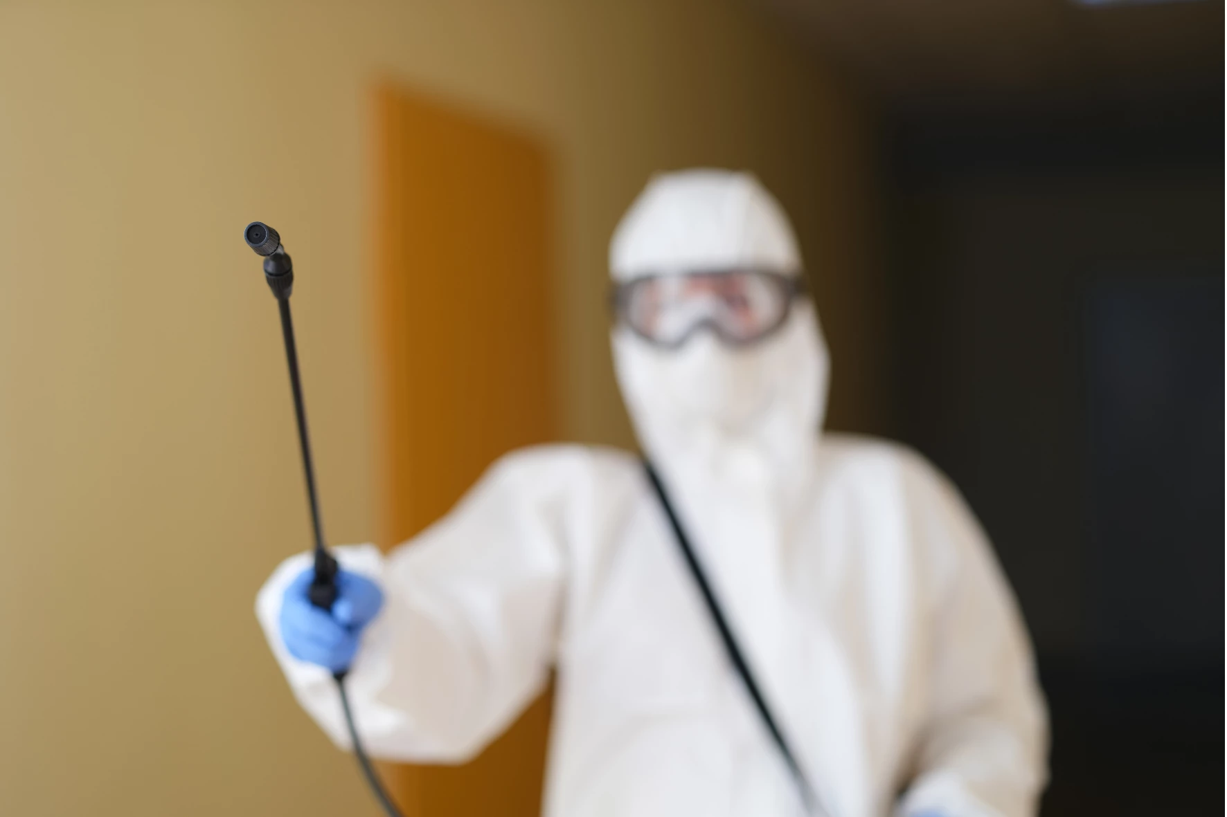 Agent de désinsectisation