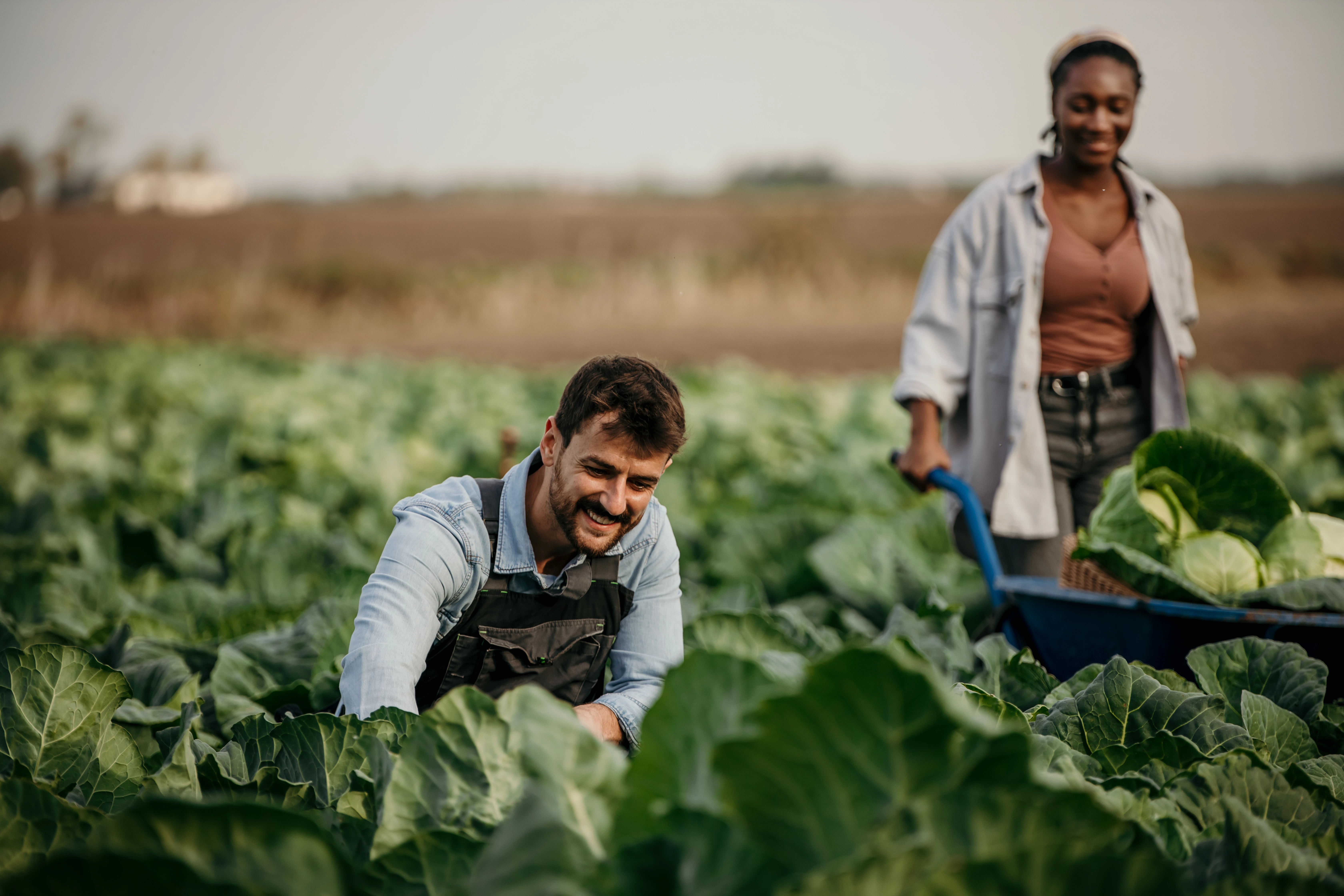Agriculture