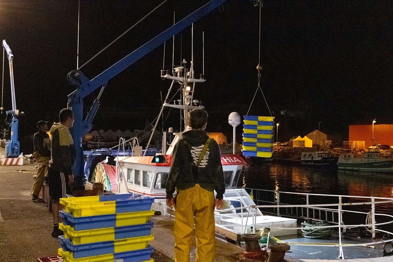 Circuits portuaires nocturnes : Keroman à l’heure des langoustines