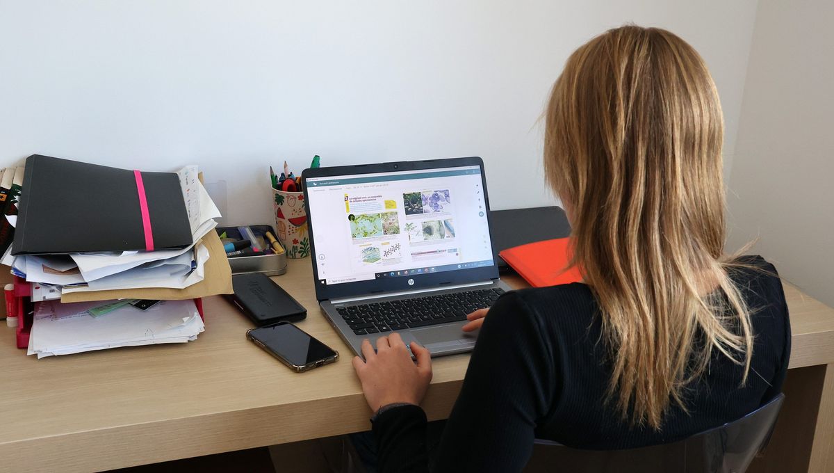 "Les réseaux passent la seconde" : des entreprises bretonnes se mobilisent pour offrir des stages aux élèves de seconde